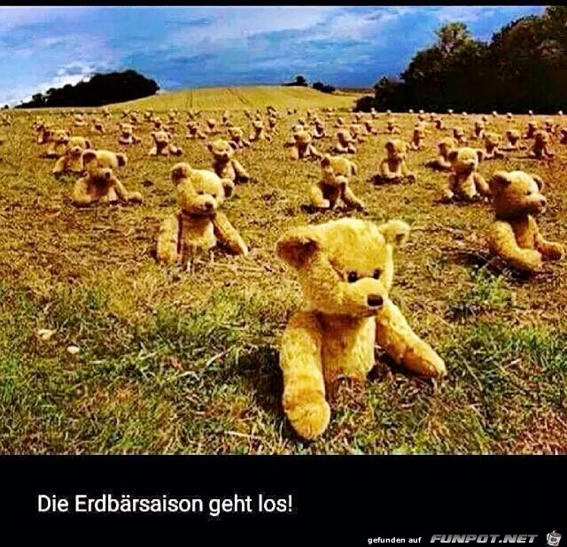 Erdbaeren Erdbaeren