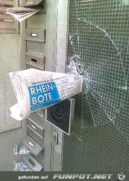 50 Leos Zeitung