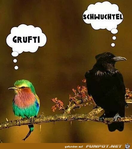 Grufti Grufti