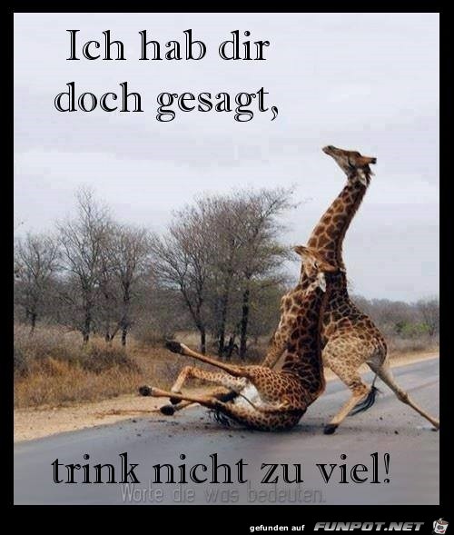 trink nicht zu viel