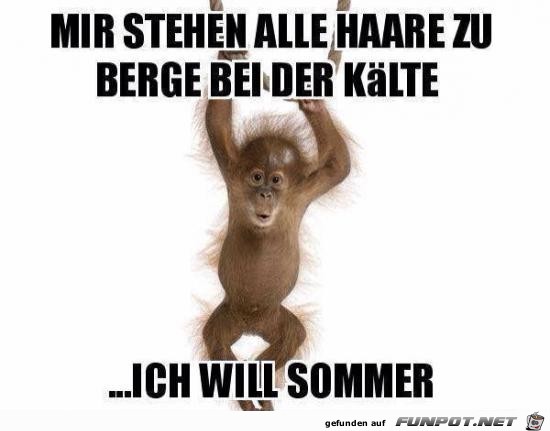 ich will Sommer ich will Sommer
