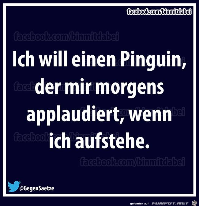 Ich will einen Pinguin...