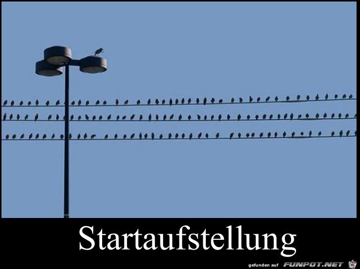 Startaufstellung Startaufstellung