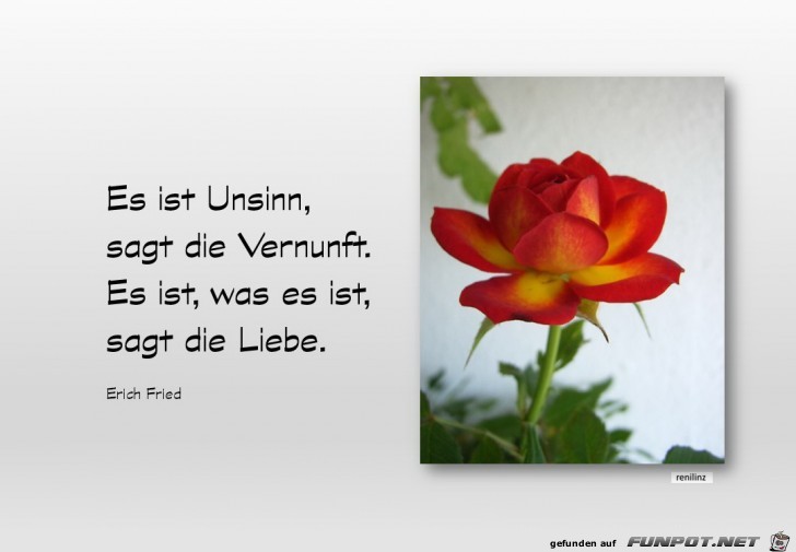 Es ist Unsinn