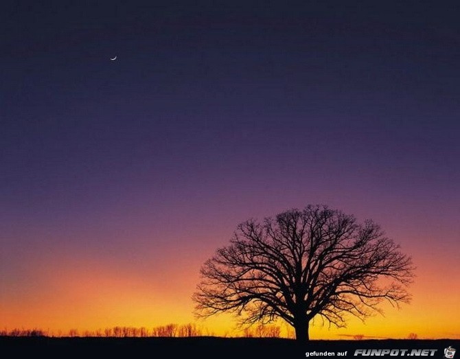 Bilder von schnen Sonnenuntergngen