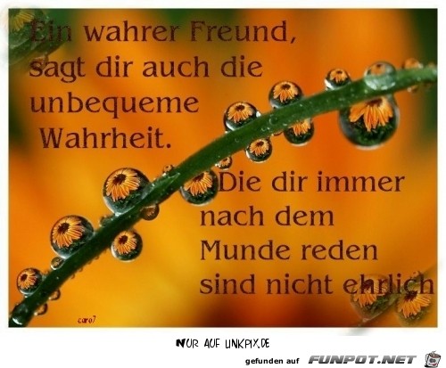 ein wahrer freund