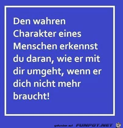 Charakter Charakter
