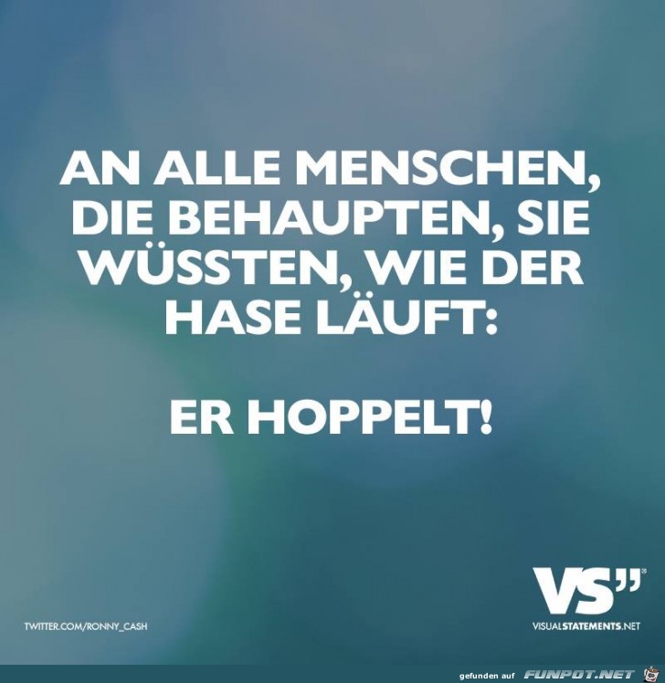 Wie der Hase laeuft