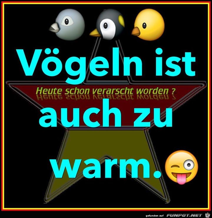 Voegeln Voegeln