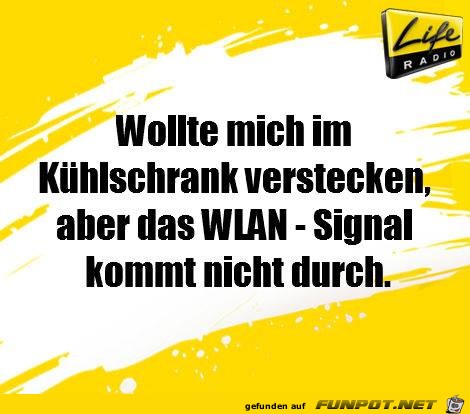 Wollte mich