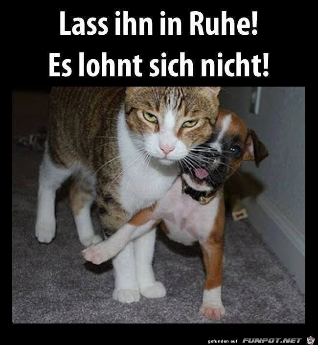 Lass ihn in Ruhe