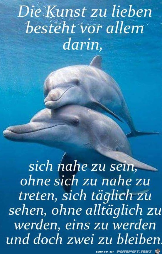 die kunst zu lieben