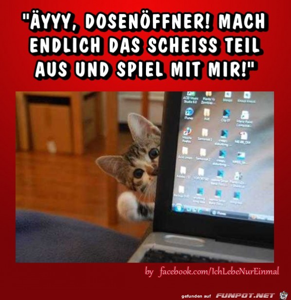 AeYYY-Dosenoeffner AeYYY-Dosenoeffner