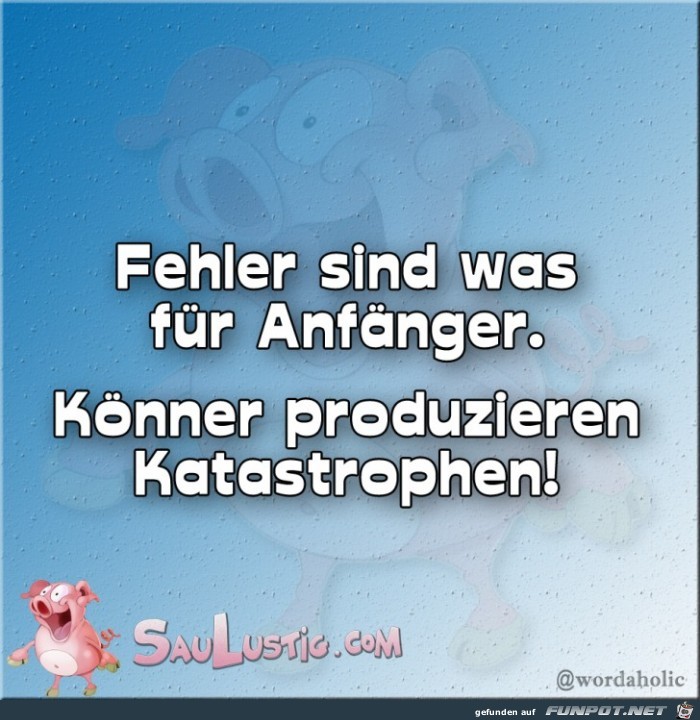 Fehler-sind-was-fuer-Anfaenger