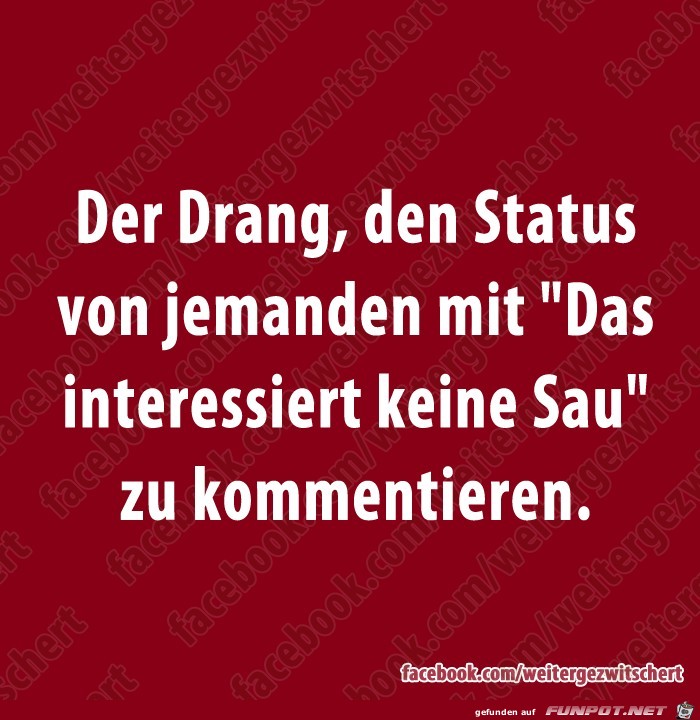 Der Drang Der Drang