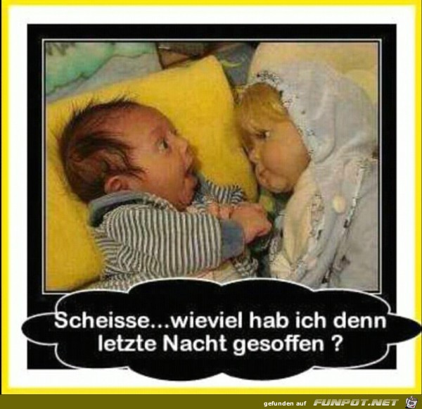 witz witz
