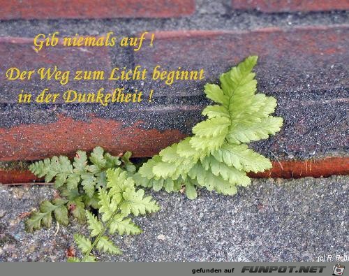 nachdenkliches 3 nachdenkliches 3