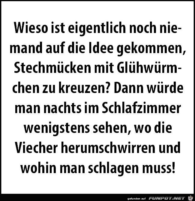 Stechmcken - Glhwrmchen...