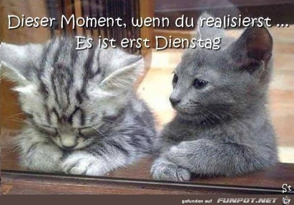 Dienstag