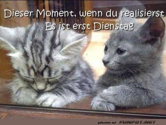 Dienstag