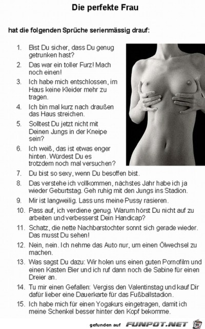 die perfeckte Frau die perfeckte Frau