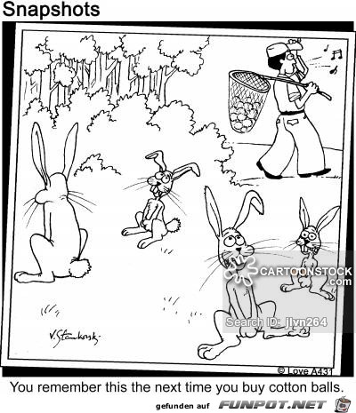 tmp 32172-animals-bunnies-bunny rabbit-rabbits-rabbit tails-