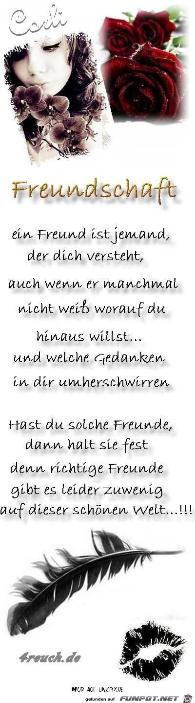 freundschaft