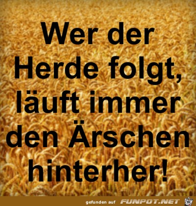 wer der herde folgt wer der herde folgt