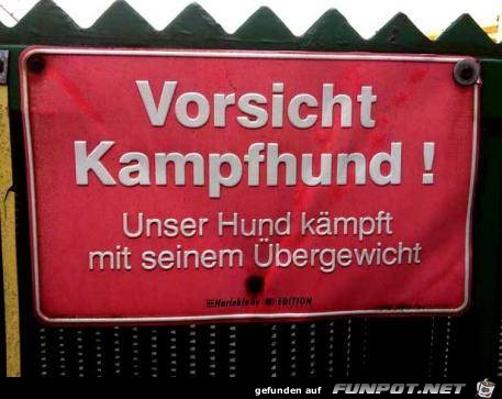 Kampfhund Kampfhund