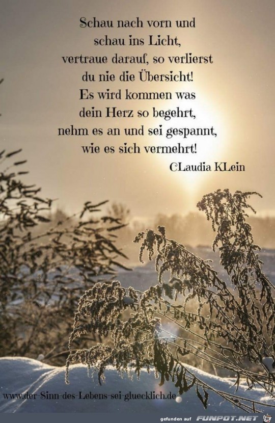 schau nach vorn schau nach vorn