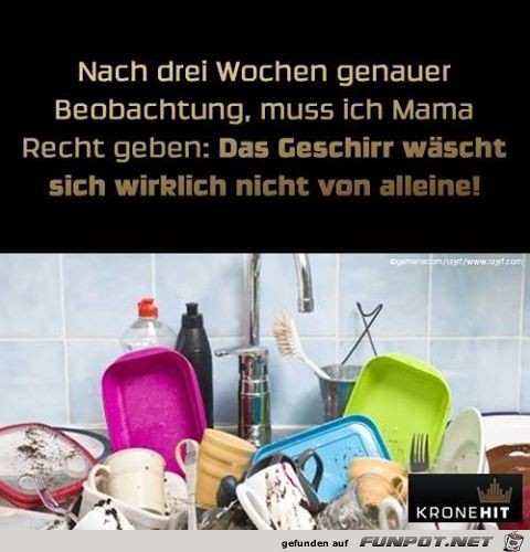 Nach drei Wochen Nach drei Wochen