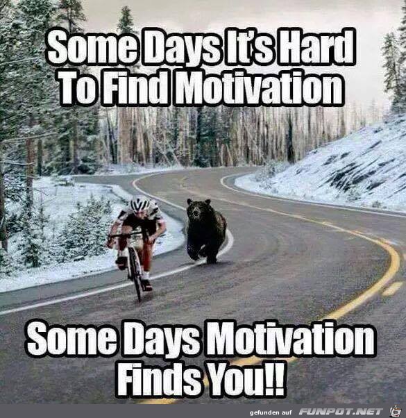 manchmal findest die Motivation dich manchmal findest die Motivation dich