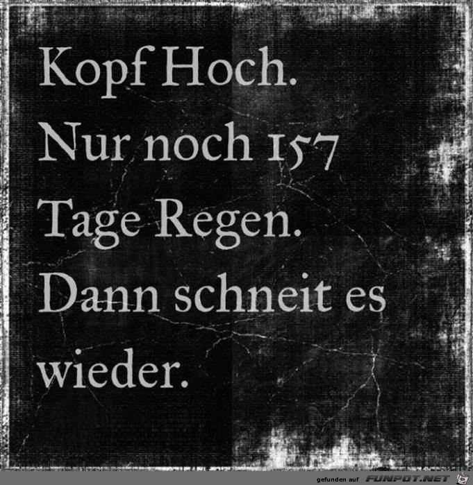 Kopf hoch Kopf hoch