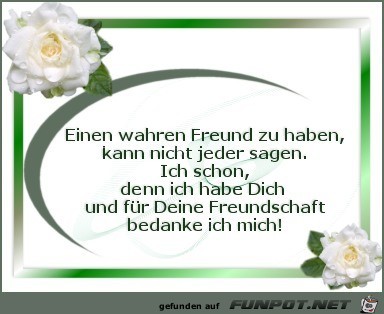 Freund 3 Freund 3