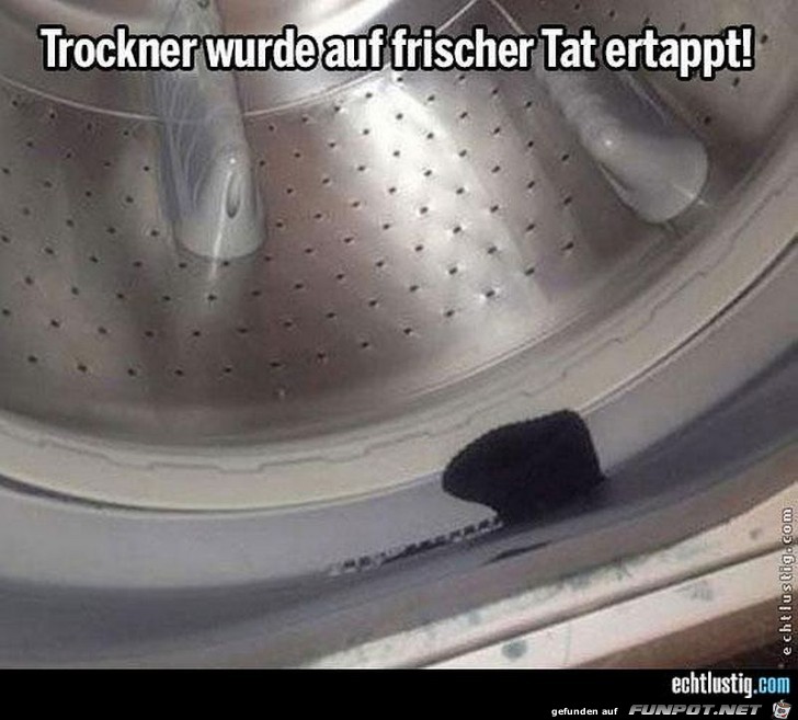 Trockner Trockner