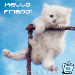 hello freund hello freund