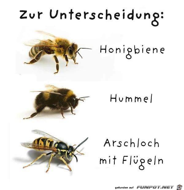 unterscheidung