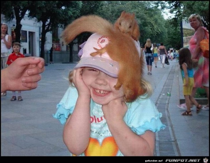 Chipmunk Angriff Chipmunk Angriff