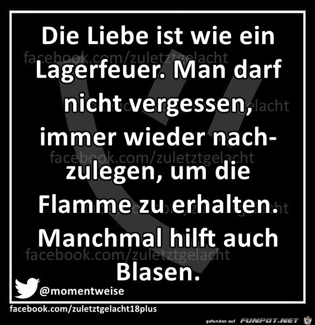 Lagerfeuer Lagerfeuer