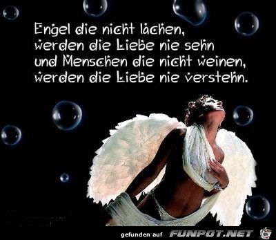 engel die nicht engel die nicht