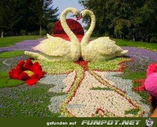 ATT000066666 ATT000066666