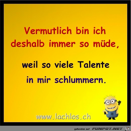 immer muede