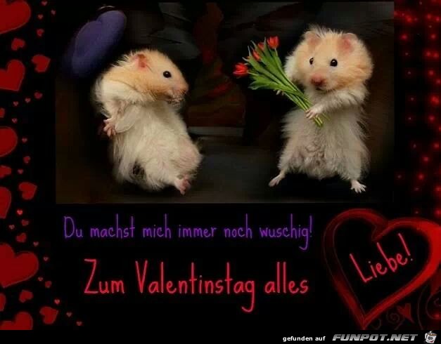 IMG 21352537547698 IMG 21352537547698