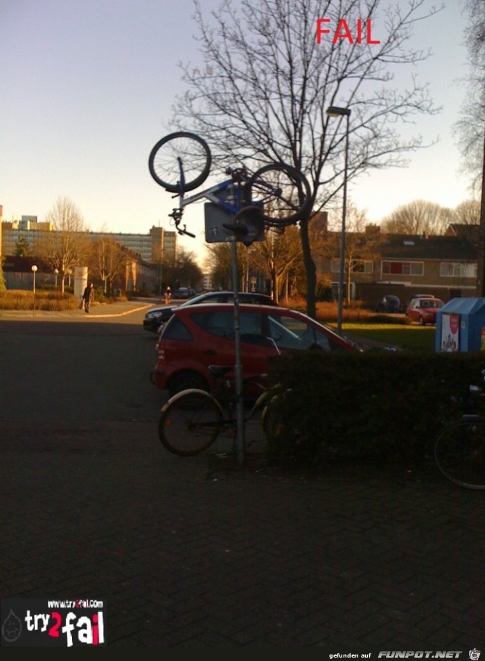 IMG 0155f IMG 0155f