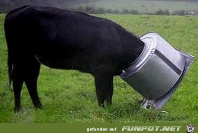 club-tierische missgeschicke 3 club-tierische missgeschicke 3
