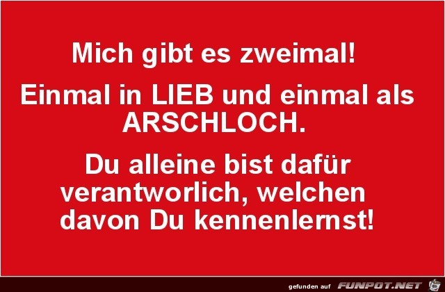 mich gibt es zweimal mich gibt es zweimal