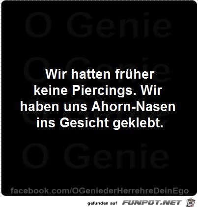 Ahorn-Nasen Ahorn-Nasen