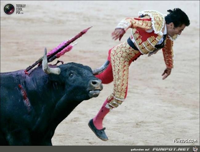 Bulls Brutal Revenge Funzug org 07 Bulls Brutal Revenge Funzug org 07