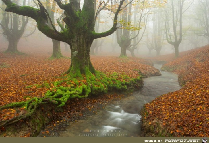 Tolle Orte, die du im Herbst besuchen kannst!