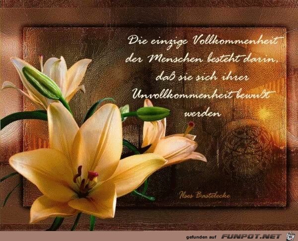 Die einzige Vollkommenheit... Die einzige Vollkommenheit...
